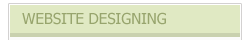 Website Designing