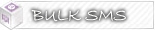 Bulk Sms Service